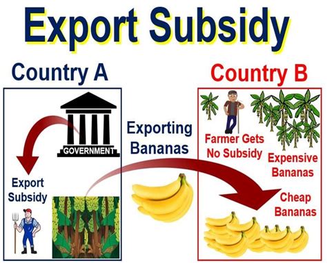 subsidy 뜻: 정부의 지원이 경제에 미치는 영향은 무엇인가?